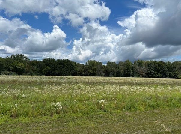 Lot 1 Blackstone Trail, Eleva, WI 54738