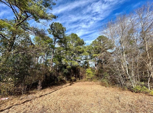 545 Loring Mill Road, Sumter, SC 29150