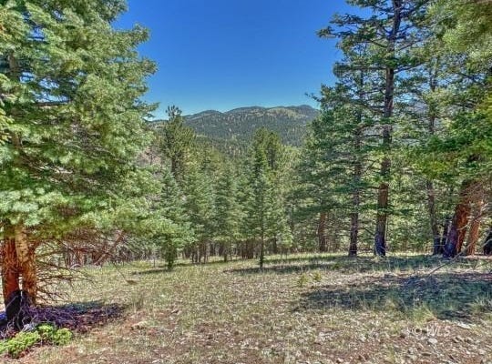 796 N Matterhorn Cir, Westcliffe, CO 81252