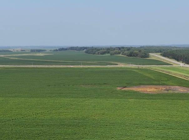 County 61, Browerville, MN 56438