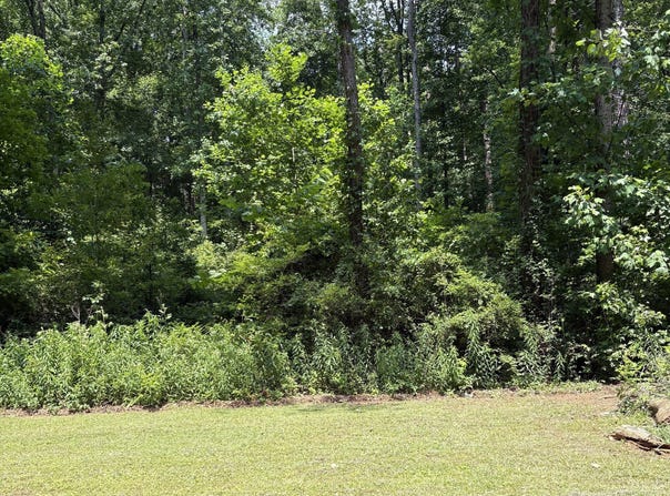 0 Shields, Stockbridge, GA 30281