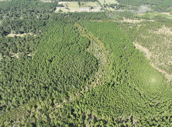 O Allen Cole Road, Ragley, LA 70657