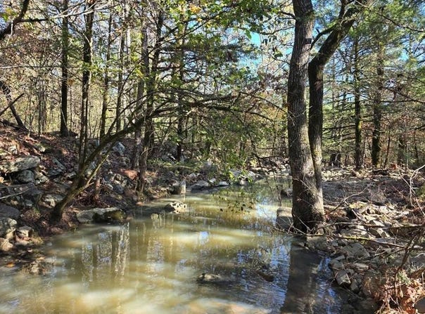 2 TBD Henderson Mill Road, Bates, AR 72958