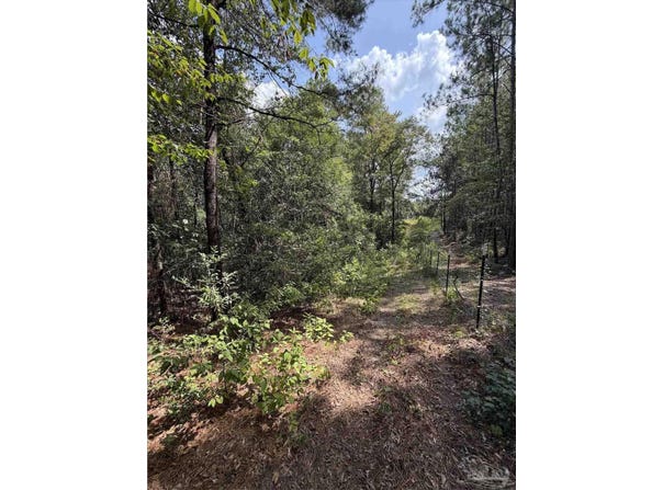 7.7 acres Werlin St, Brewton, AL 36426