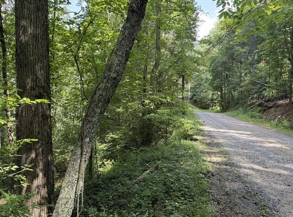 Lot 22 Larue Lane, Ellijay, GA 30540