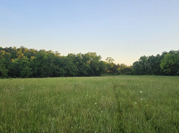 004 Tomahawk Slab Road, Saint Joe, AR 72675