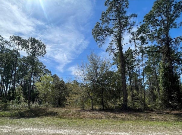 103 ROSEWOOD STREET, GEORGETOWN, FL 32139