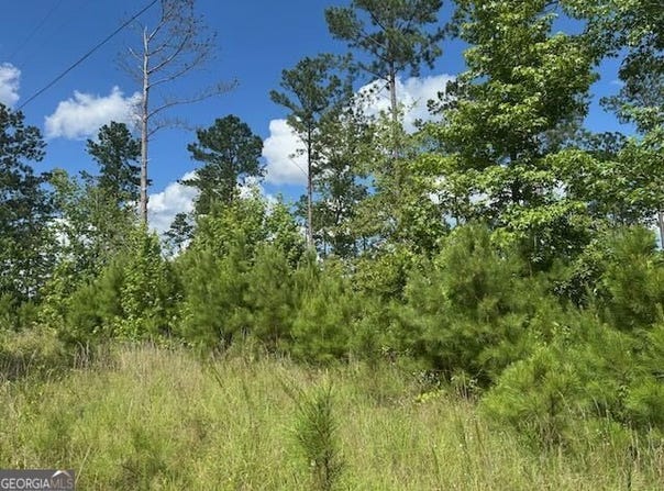 Lot 10 Tennille Oconee, Tennille, GA 31089