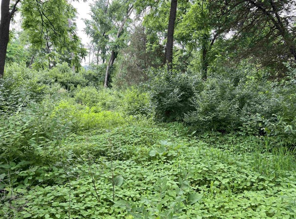30933 Slow Lane, Lone Rock, WI 53556