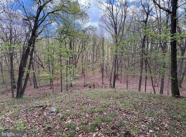 15.02 AC BEAM Road, ROMNEY, WV 26757