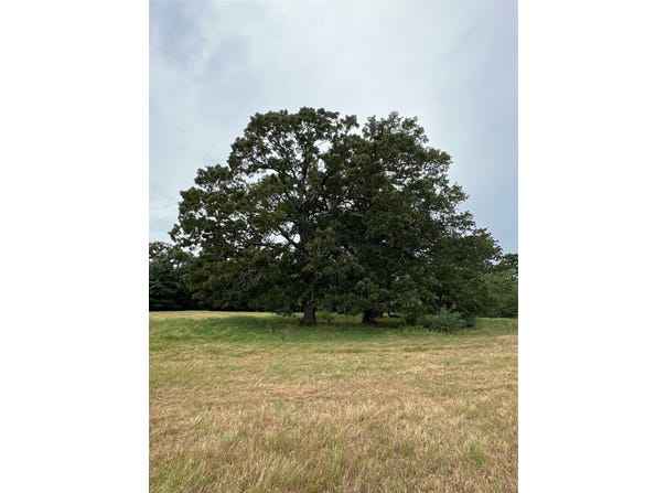 County Road 3515, Dike, TX 75437