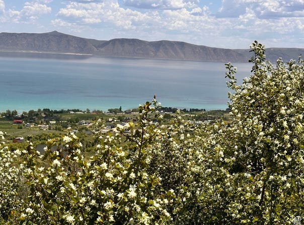 387 JUNIPER, Fish Haven, ID 83287