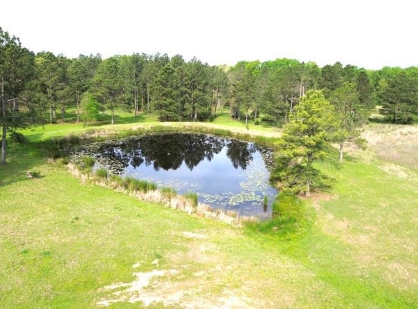 1200 Buckhorn Creek Drive, Crockett, TX 75835