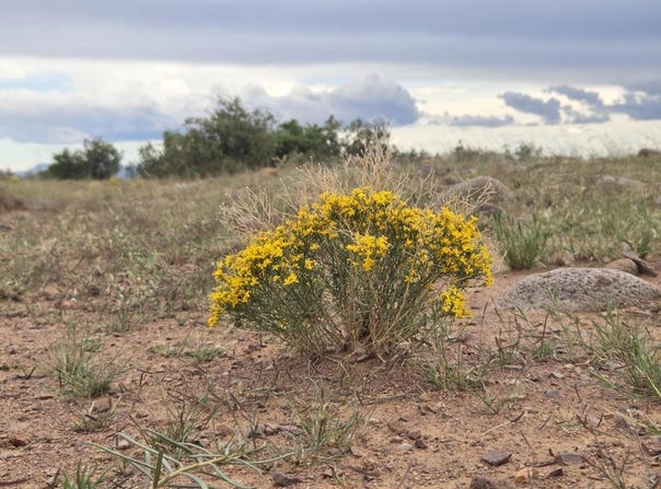 VL WILLOW SPRINGS RANCH Lot 2-9, San Antonio, NM 87832