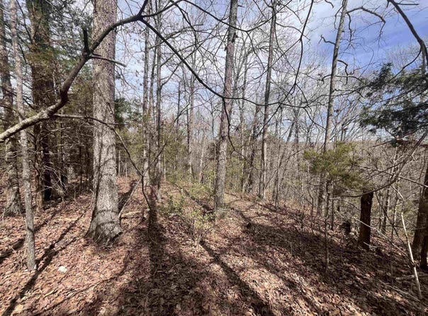 000 Boanna Drive, Cherokee Village, MO 72529