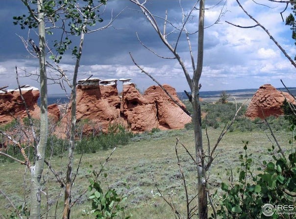 Livermore, CO 80536