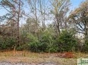 0 Marie lot 15 Marie Avenue, Midway, GA 31320