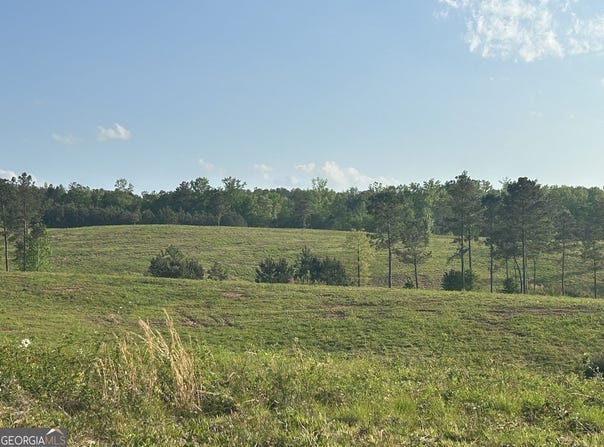 0 Needmore Road - (345.37 acres), Roopville, GA 30170