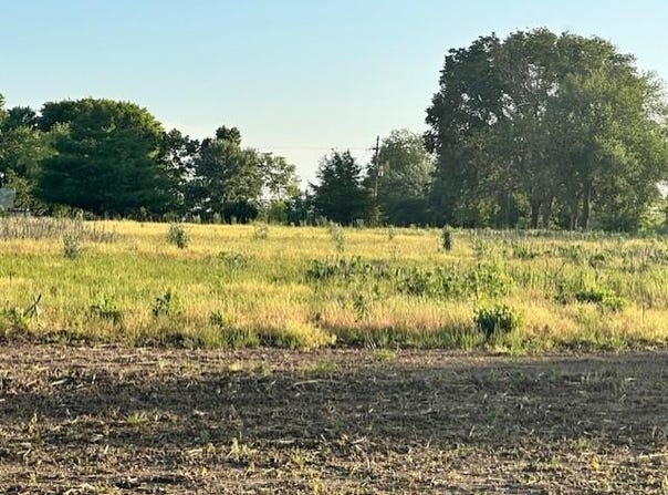 167xx S 1200 Road, Nevada, MO 64772