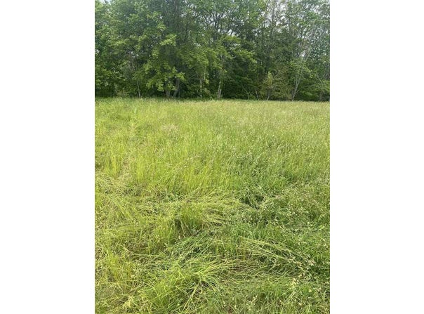 SPRINGWOOD RD. C-2, CHARLEVOIX, MI 49720