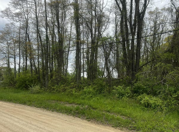 6307 Wilson Street, Coloma, MI 49038