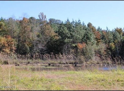 4056 Gibson Road, McComb, MS 39648