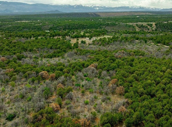 850 Canyon Ridge Road, Montrose, CO 81403