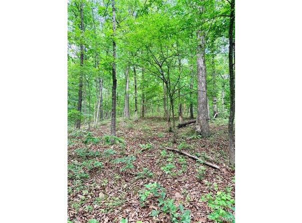 0 County Road 450, Poplar Bluff, MO 63901