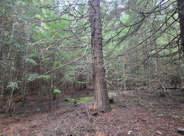 Elk Heights Lane lot: A-2, Heron, MT 59844