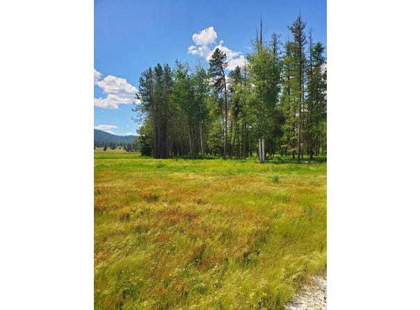 5166 Hattery Owens Rd, Deer Park, WA 99006