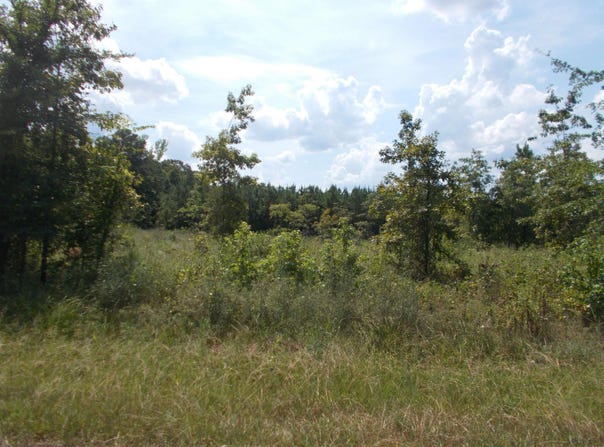 1705 Grant 53, Sheridan, AR 72065