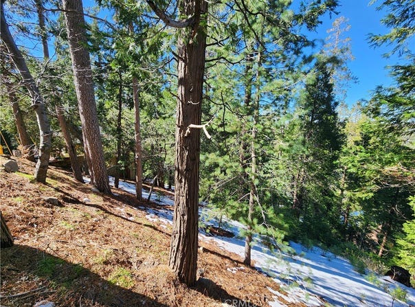 26236 Boulder Lane, Twin Peaks, CA 92391