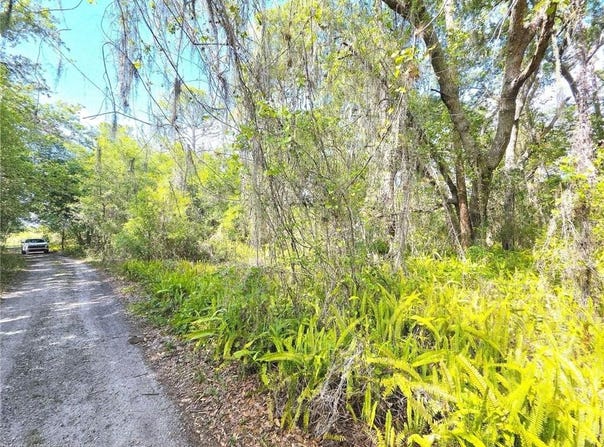 904 Viburnum Drive, Sebring, FL 33875