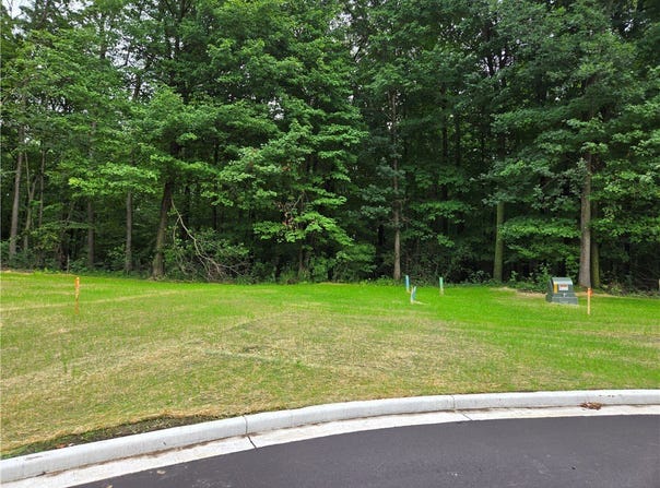 1459 Sykora Lane, Boyceville, WI 54725