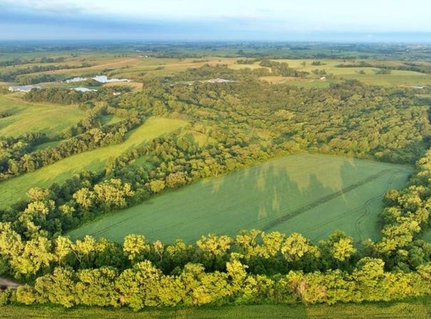 000 Hazel Road, Newtown, MO 64667