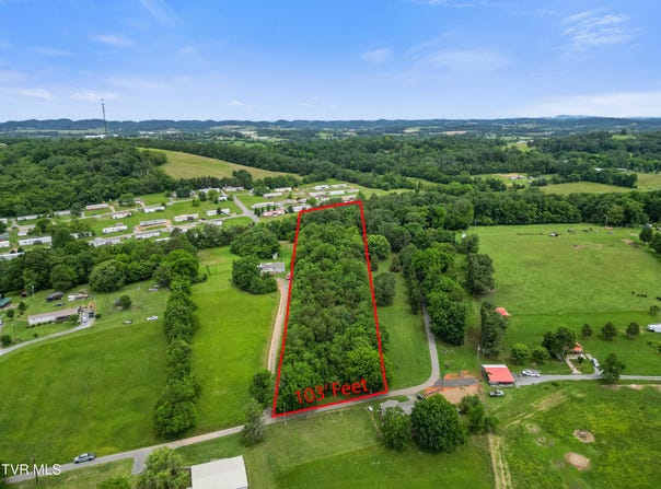 000 Keller Drive, White Pine, TN 37890