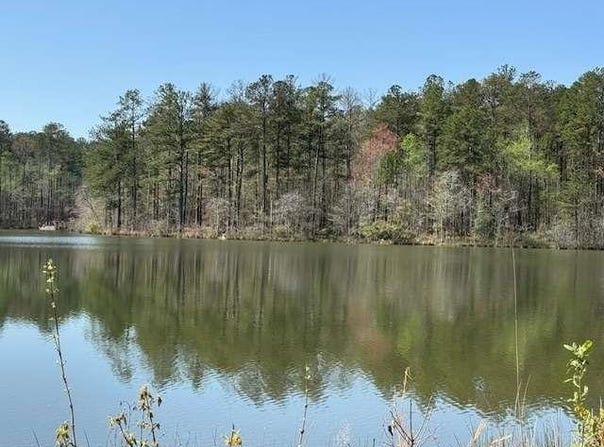 0 Pierce Chapel Road, Newnan, GA 30263