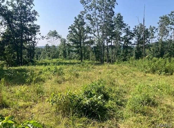 132 Madison CR 410, Fredericktown, MO 63645
