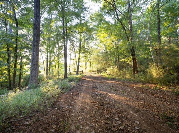 * Hwy 42, Shelby, AL 35143