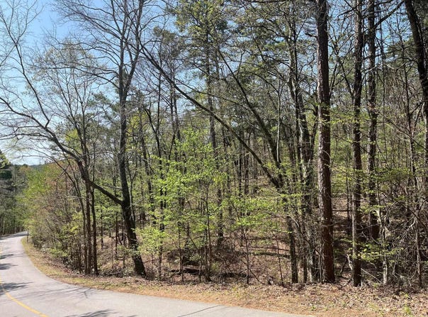 65 Reata Way, Hot Springs Village, AR 71909