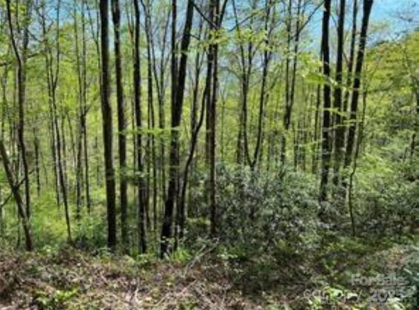 TR 6 Little Bit Trail, Whittier, NC 28789