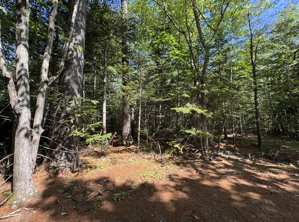 Lot 5 School St., Belfast, ME 04915