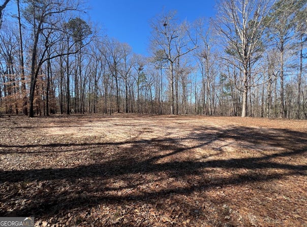 331 Hardwood Hollow, Sandersville, GA 31082