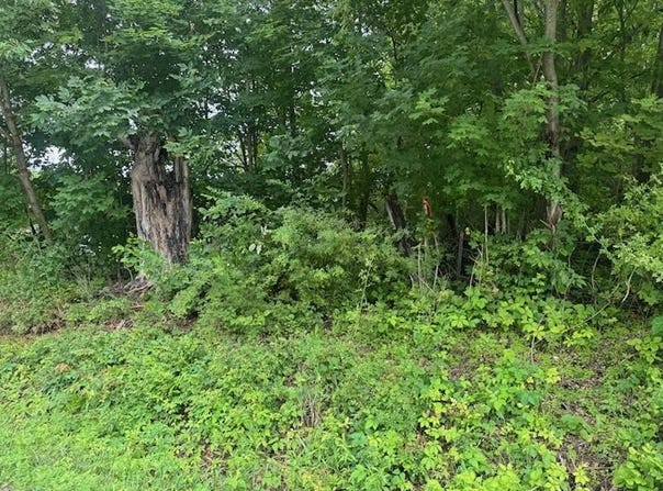 18905 Sycamore Road, Mount Vernon, OH 43050
