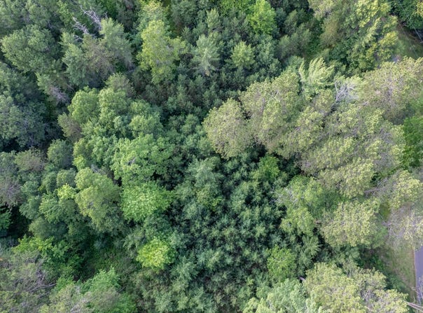 Lot 6 DADS LAKE RD, Eagle River, WI 54521