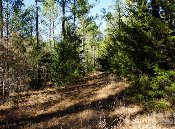 4+/- AC Lot 2 Skyline Road unit: 2, Chester, SC 29706