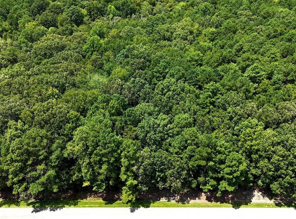 Tbd Boat Ramp Road, New Hope, NC 27944