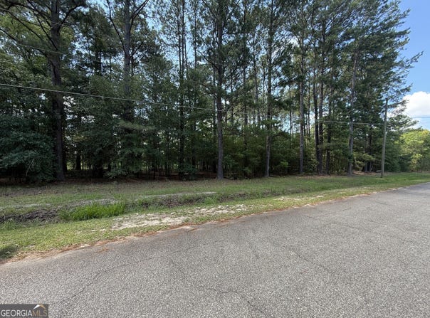 0 Fairway Lane, Hawkinsville, GA 31036