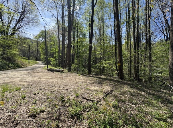 TBD (B) Browning Branch Rd, Waynesville, NC 28786