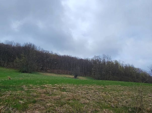 Lot 7.4 Hankins Road, Fremont Center, NY 12736